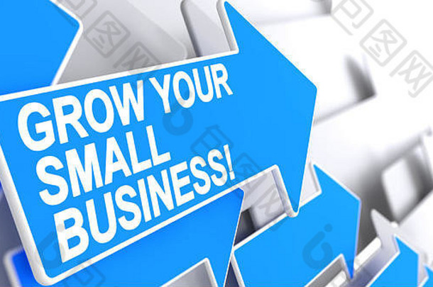 发展您的小企业-蓝色箭头上的标签。3D。
