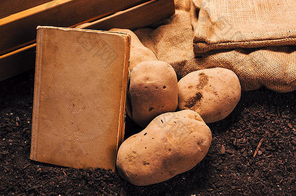 关于种植有机马铃薯的旧书，模拟空白封面作为空间