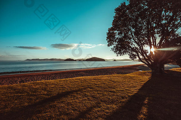 新西兰Paihia海滩美丽的日出