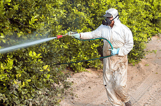 杂草杀虫剂熏蒸工业化学农业有毒农药农药水果柠檬日益增长的农业种植园西班牙