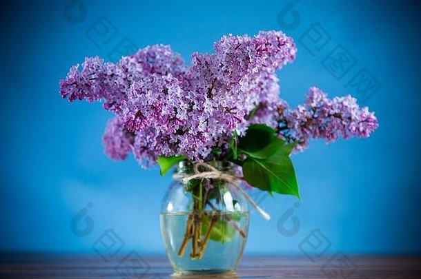 花束美丽的春天花淡紫色表格