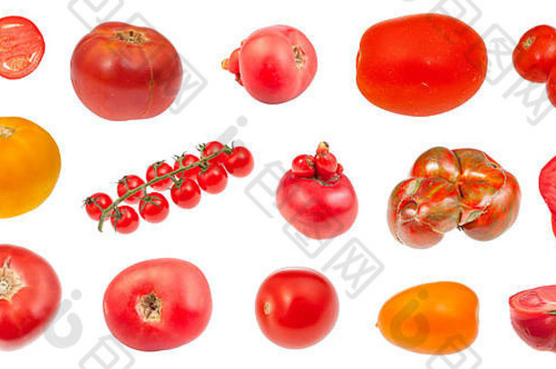 在白色背景上分离的各种新鲜西红柿