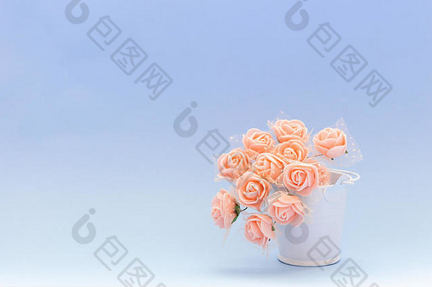 蓝色或紫色背景上白色玩具桶中的粉红色花朵，3月8日或2月14日妇女节期间的花朵