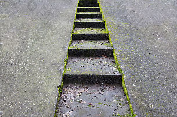 绿色苔藓覆盖的混凝土车道，带下沉<strong>楼梯</strong>