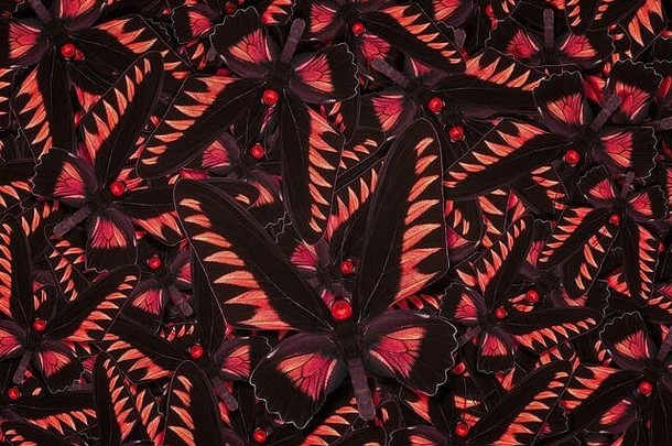 由不同颜色的蝴蝶做成的抽象图案