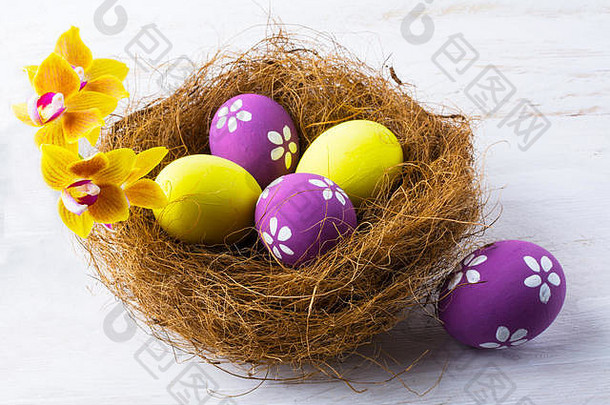 复活节鸡蛋巢黄色的兰花