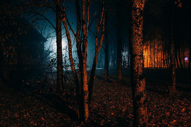 秋夜的恐怖公园