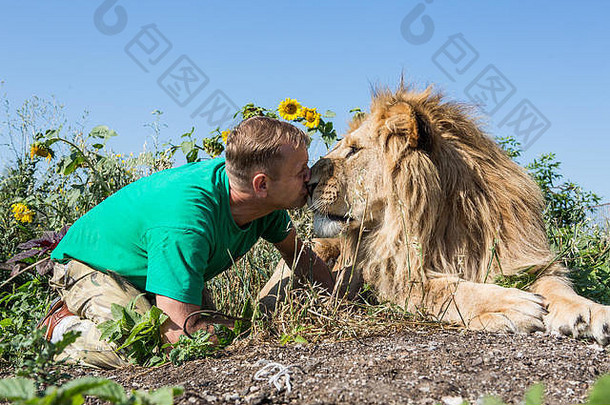 男人和狮子一起坐在向日葵里