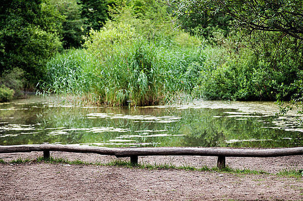位于德国<strong>柏林</strong>戈里策公园的一个可爱的池塘。