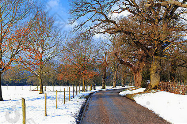 乡下被白雪覆盖的乡村景观