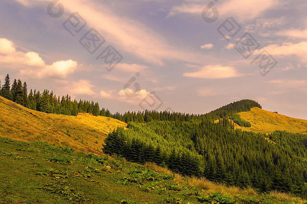 喀尔巴阡山脉的夏季景观。山中夕阳