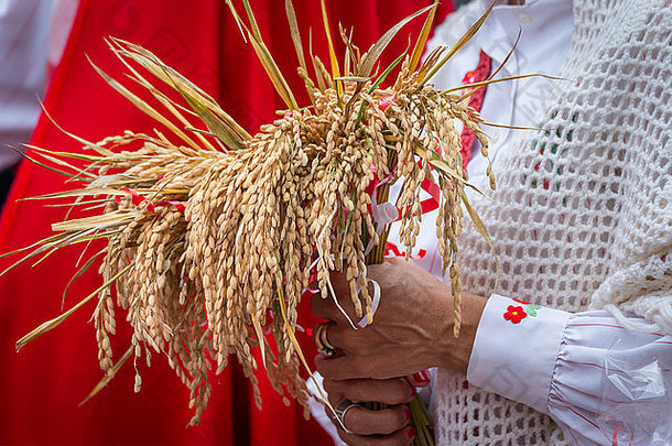 在拉基亚雷拉市，每年都是鹅节，当地农民穿着传统服装，穿着传统服饰