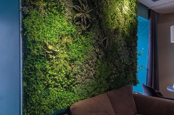 绿色植物墙观赏设计生态咖啡咖啡馆