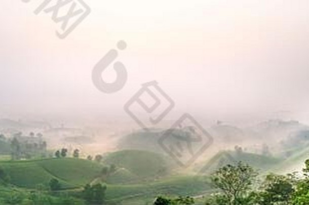 在一个大雾蒙蒙的清晨，观赏越南府寿省龙可可茶山全景。龙可可被认为是世界上最美丽的茶山之一