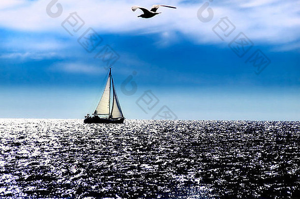 公海上的帆船和海鸥，海面上的自然日晒。