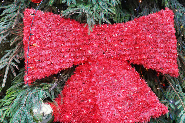 圣诞树塑料装饰在普利克市的圣诞树上，呈红结状，带灯泡。开放式<strong>光圈</strong>用于软<strong>效果</strong>