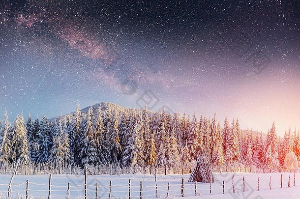 《星际迷航》在冬天的树林里。