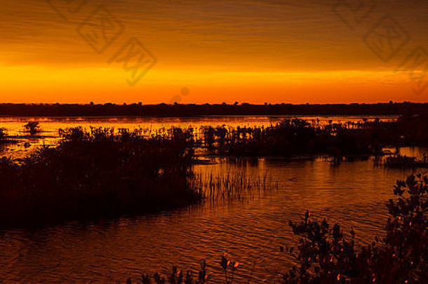 湖日落黑色的点野生动物开车梅里特岛国家野生动物避难所泰特斯维尔佛罗里达美国