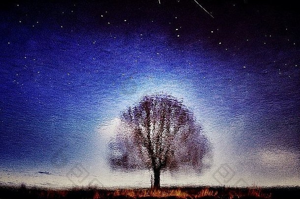 树的倒影看起来像是透过热雾看到的夜空