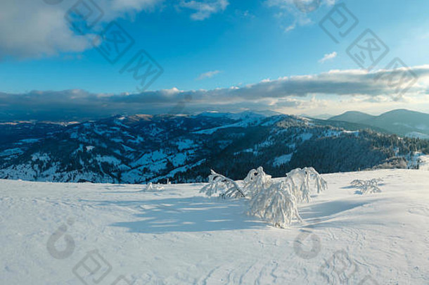 冬季傍晚，山景平静，山坡上有美丽的霜树和雪堆（喀尔巴阡山脉，乌克兰）