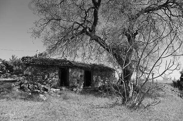 旧乡村石屋黑白照片