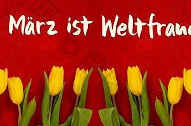 路径黄色的郁金香花红色的背景Weltfrauentag意味着女人的一天