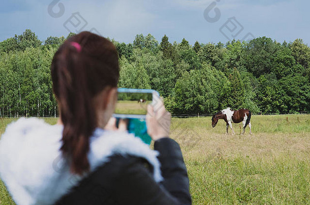 前景模糊的女孩手持智能手机，在户外为美丽的马拍照