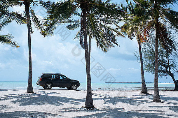 停放在海滩棕榈树下的4x4车辆