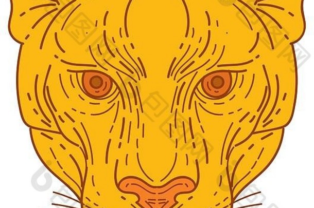 单行风格插图美洲狮山狮子头集孤立的白色背景查看前面