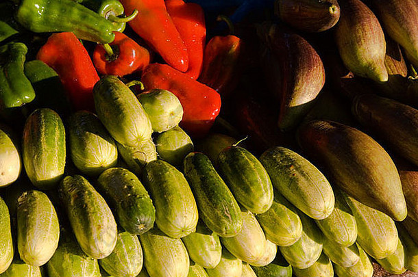 新鲜的生黄瓜蔬菜市场menghai中国西双版纳