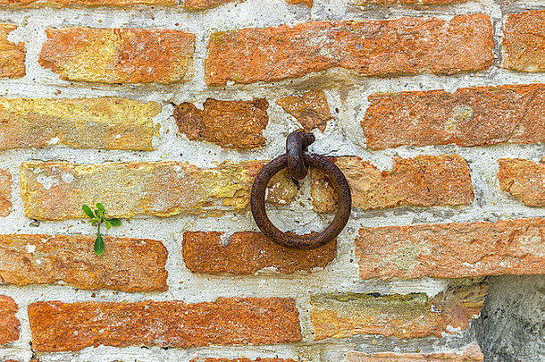 砖墙上用来拴马或牛的旧铁环