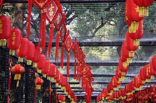 红色的灯笼，传统的<strong>中国装饰</strong>，悬挂在公园周围。这个角色的翻译是一位吉祥的老国王。