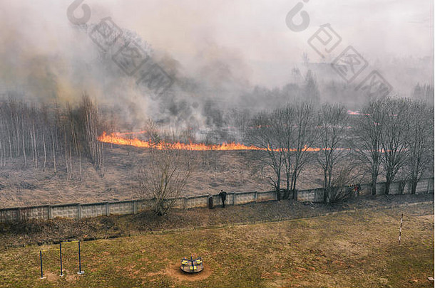 住宅楼附近的森林火灾。人们有火灾的危险。干草纵火。烟火