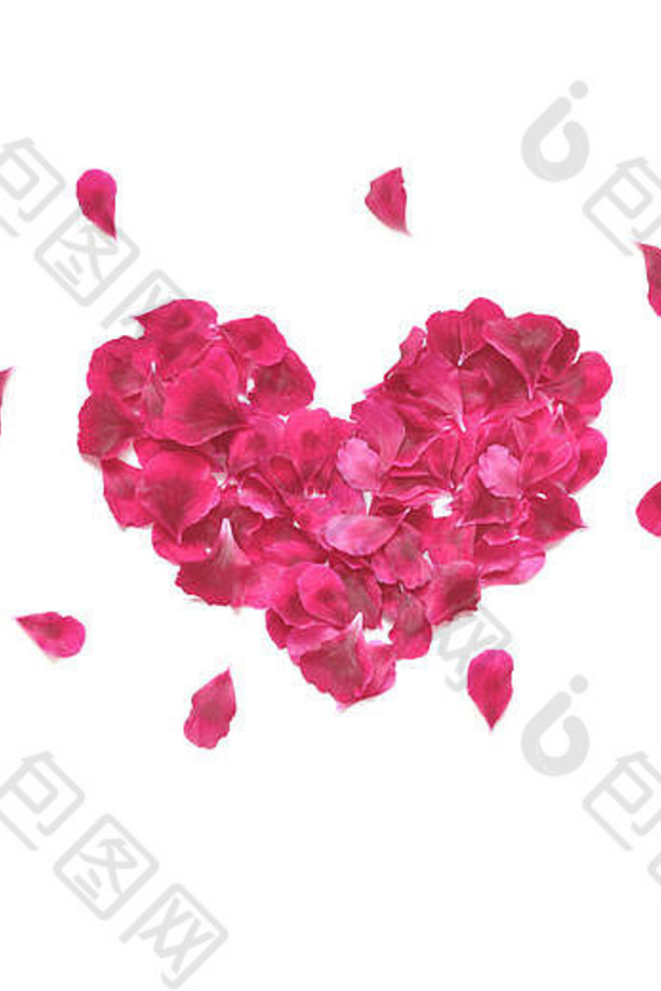 玫瑰花瓣做的心。白色背景上的红色玫瑰花瓣。顶视图。爱情和浪漫的主题。情人节。