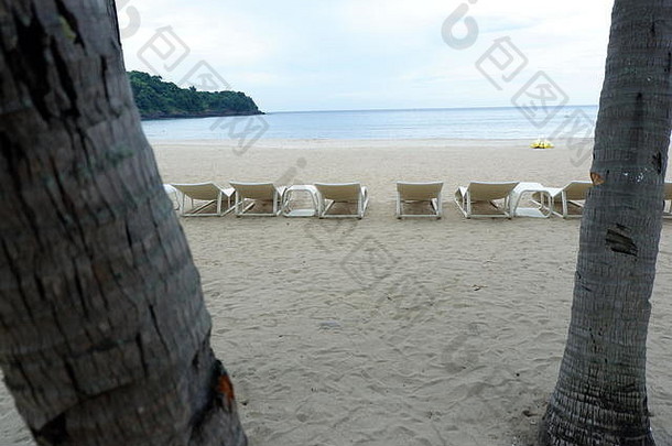 海滩前面休息椅子棕榈树完美的天气