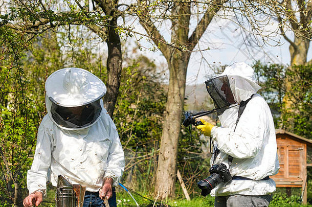 摄影师在花园里拍摄养蜂人的照片，蜜蜂在养蜂人周围飞来飞去。养蜂生活的真实场景