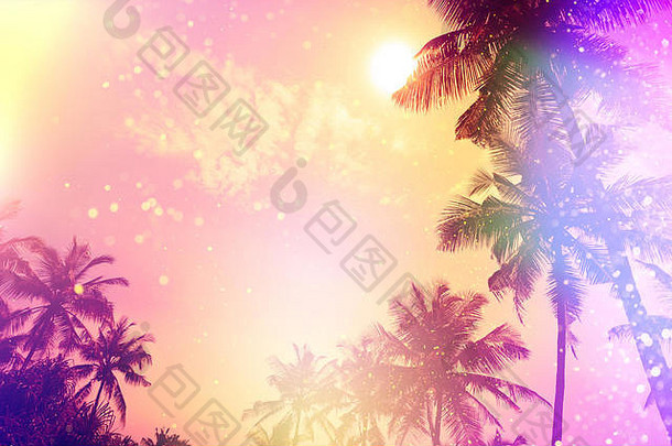 棕榈日落剪影热带海滩派对童话风格与colofrul漏光和金色闪光粒子
