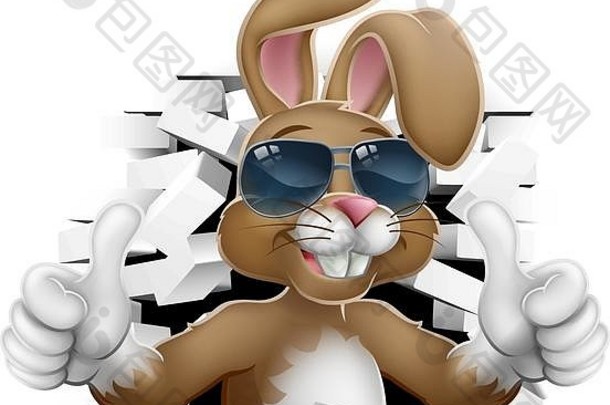 复活节兔子酷兔太阳镜竖起大拇指