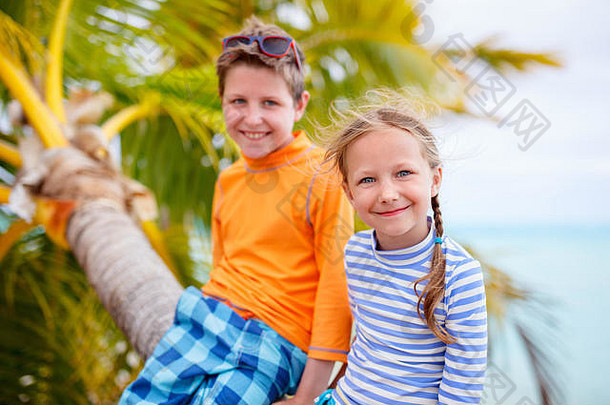 兄弟姐妹坐在悬垂的棕榈树上享受热带海滩的时光