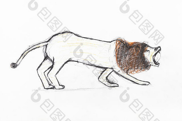 咆哮的狮子棕色（的）鬃毛手绘颜色铅笔白色纸