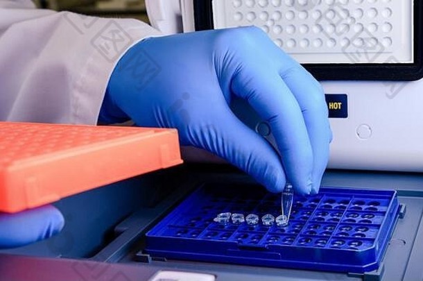将DNA管装入生物科学实验室的PCR（聚合酶链反应）热循环机。科学概念、实验室与环境研究