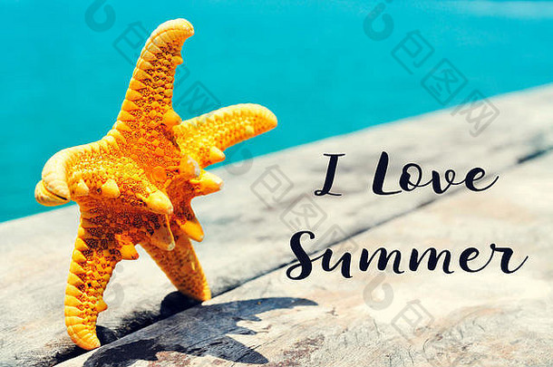 一只黄色海星在风化的木码头上的特写镜头，背景是大海，文字是《我爱夏天》