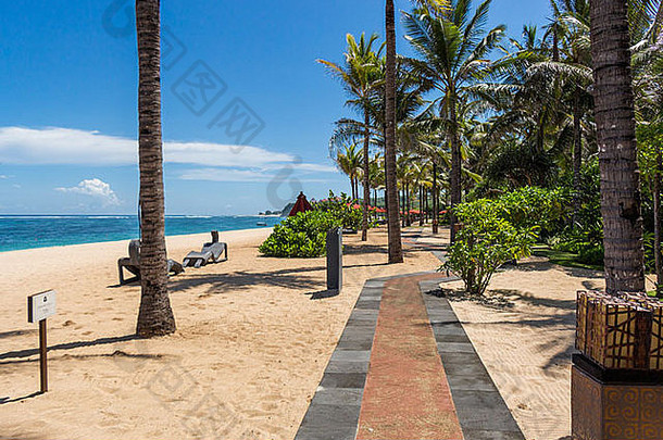 巴厘岛一个旅游胜地的美丽海滩上，在热带棕榈树的树荫下放着沙滩伞和躺椅