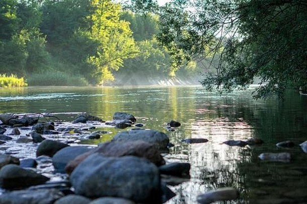 河面水流平静，河上有树枝，河前有石头，夏季炎热，水雾笼罩，河流景观优美。