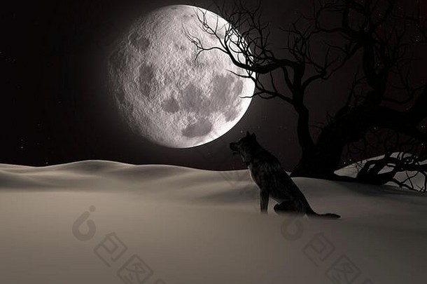 插图狼完整的月亮冬天令人毛骨悚然的树呈现