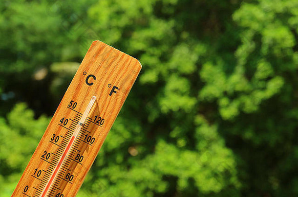 木制温度计在夏季阳光下显示高温