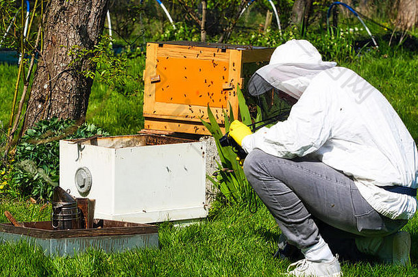 摄影师在花园里拍摄养蜂人的照片和视频，蜜蜂在养蜂人周围飞来飞去。养蜂生活的真实场景
