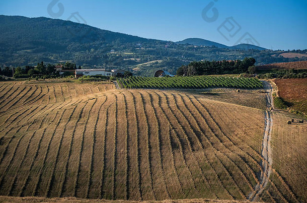 帕斯蒂纳、比萨、托斯卡纳——意大利比萨省圣卢斯古村落和帕斯蒂纳之间山谷中的乡村景观