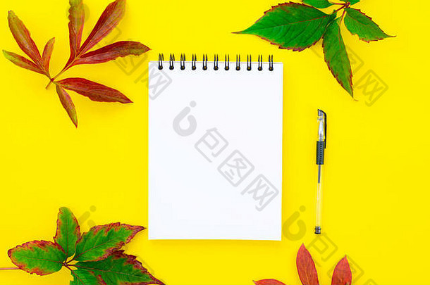 开放空笔记本笔黄色的背景秋天叶子