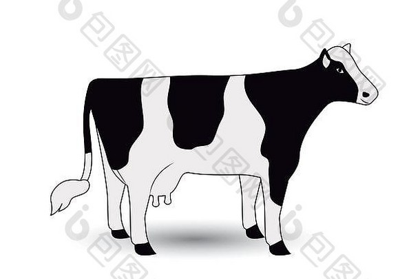 孤立的牛动物设计